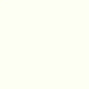 Blanc RAL9010