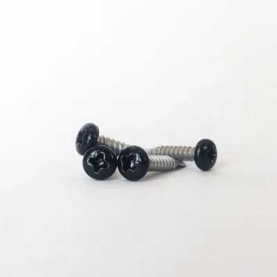 Vis autoperceuse à tête cylindrique bombée - INOX - NOIR (RAL9005) - D3,5 x L19 - 100 unités - Réf. RAL9005-300399070_100