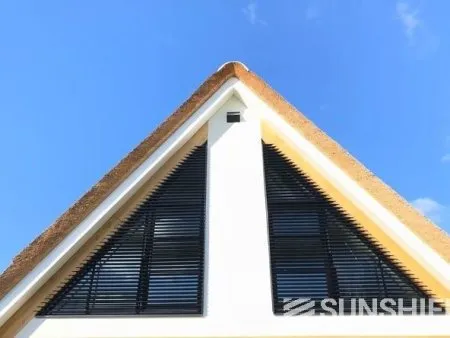 Triangle, persienne 88E, Tiel, Pays-Bas