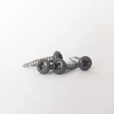 Vis autoperceuse à tête cylindrique bombée - INOX - TAUPE (RAL7006) - D3,5 x L19 - 100 unités - Réf. RAL7006-300399064_100