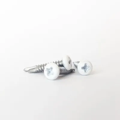 Vis autoperceuse à tête cylindrique bombée - INOX - BLANC (RAL9010) - D3,5 x L19 - 10 unités - Réf. RAL9010-300399001_10