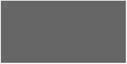 Gris anthracite <br> RAL 7016