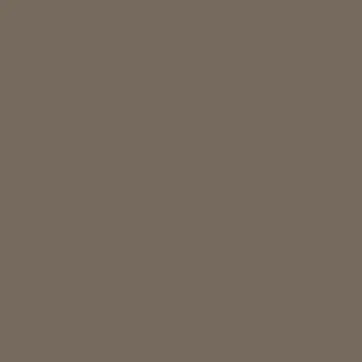 Gris beige RAL7006