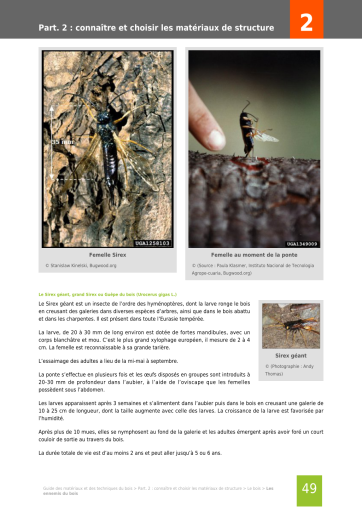 Extrait de la rubrique préparer un projet de construction bois